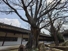 -苏州文庙(姑苏区)