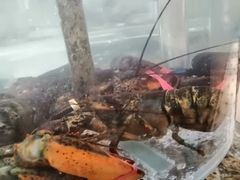 -将相和·海鲜蒸饺大连菜