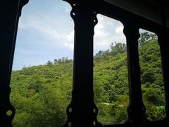 -鲤鱼塘农家山庄