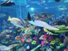 -成都浩海立方海洋公园