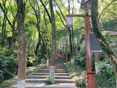 -天目湖山水园