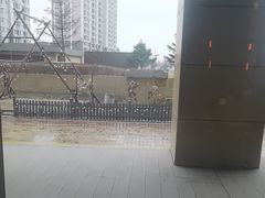 -松咖啡自助餐厅·松北香格里拉