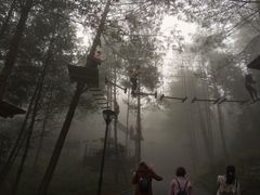 -梦幻奥陶纪景区