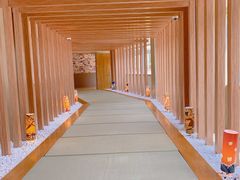 -重庆南山海昌汤都