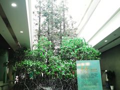 -中国湿地博物馆