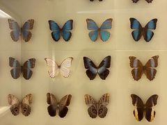 -拿渡·水煮鱼 麻辣香锅(西单大悦城店)