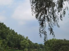 -北京张裕爱斐堡酒庄