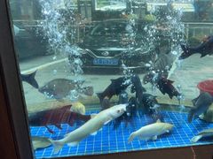 -客家汇·客家传承菜(水库店)