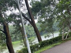 -红花湖景区