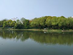 -新江湾城公园