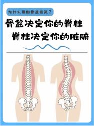 -Fundi张玉珊修身堂·indiba·BTL科技瘦身