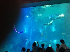 -福州罗源湾海洋世界旅游区