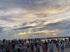 -宝安西湾红树林湿地公园