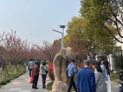 -高东镇樱花园