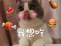 -米村拌饭(嘉兴经开龙鼎万达广场店)