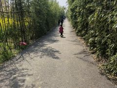 -武汉紫薇都市田园