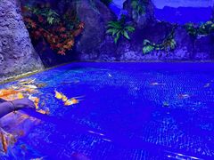 -左海海底世界