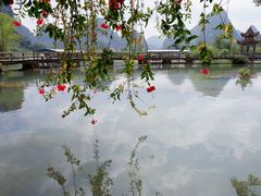 -靖西鹅泉风景区