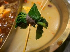 牛肉薄荷-来涮蜀鲜货火锅串串香(菜市口店)