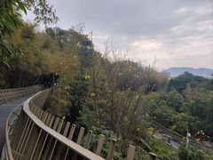 -福道