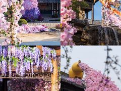 -茅山东方盐湖城景区