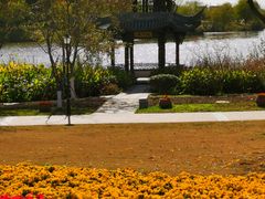 -杭州湾海上花田景区