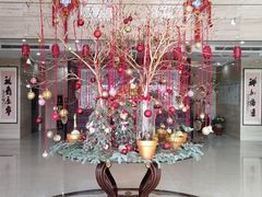 -康梦圆国际老年公寓