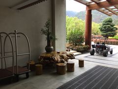 -逸廊大堂吧-下午茶·简餐-千岛湖自由洲际殿