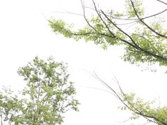 -白鹭湾湿地公园