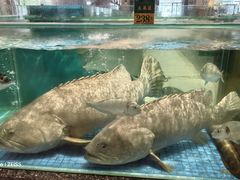 -聚福宝合苑食府(南头镇店)