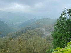 -莫干山风景区