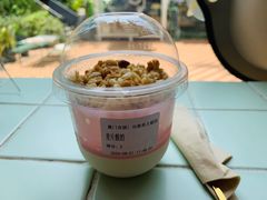 -有猫主题·治愈系猫咖(曾厝垵店)