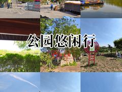 -塘沽森林公园