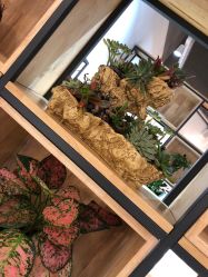 -曼都发型·臻选