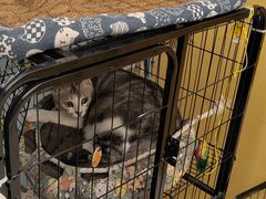 -谜盒子奇幻密室(南屏店)