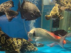 -太平洋PACIFIC SPA•奢睿水疗(万象城店)