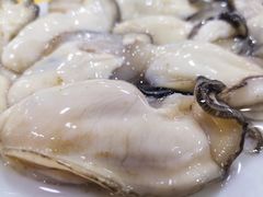 -濠轩阁特色生蚝火锅(水湾路店)