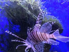 -多彩贵州城极地海洋世界