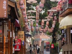 -重庆十八梯传统风貌区