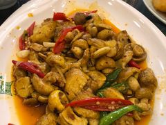 -清真·益鑫羊肉手抓馆(花园北街店)