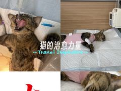 -达爱动物医院·犬猫分区·CT·复杂眼科(远洋山水分院)