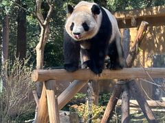 -杭州动物园