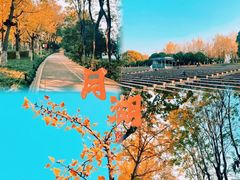 -月湖风景区