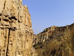 -元谋土林景区(物茂土林)