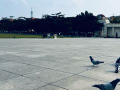 -大连人民广场