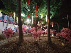 -凤城·食都