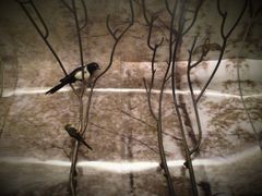 电梯房-杭州逸酒店(西湖武林店)