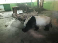 -辛玛王国游乐园