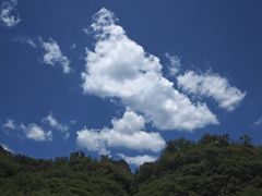 -兴隆红河漂流