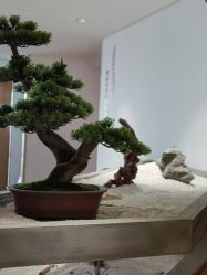 -松和日式美容整骨